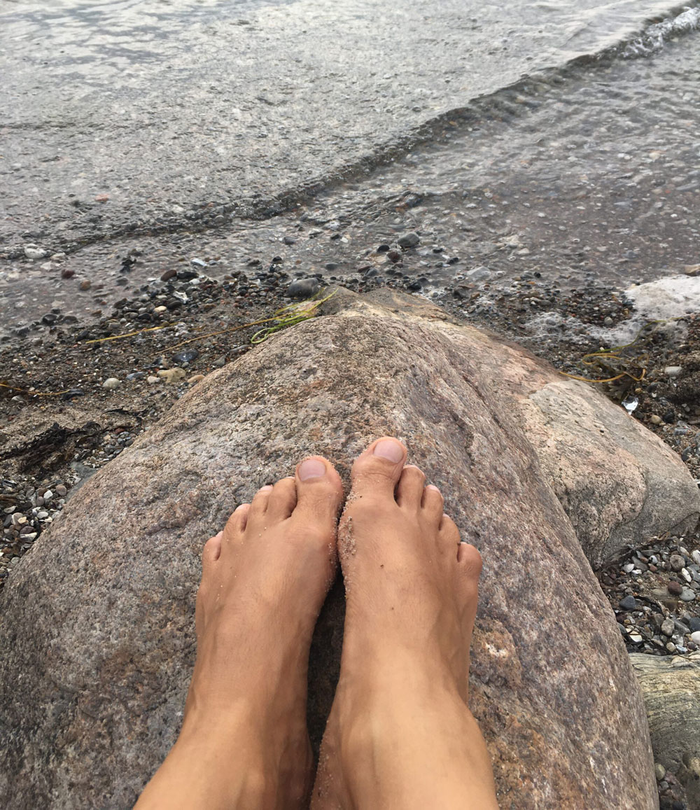 Durchschnitt Baumstamm